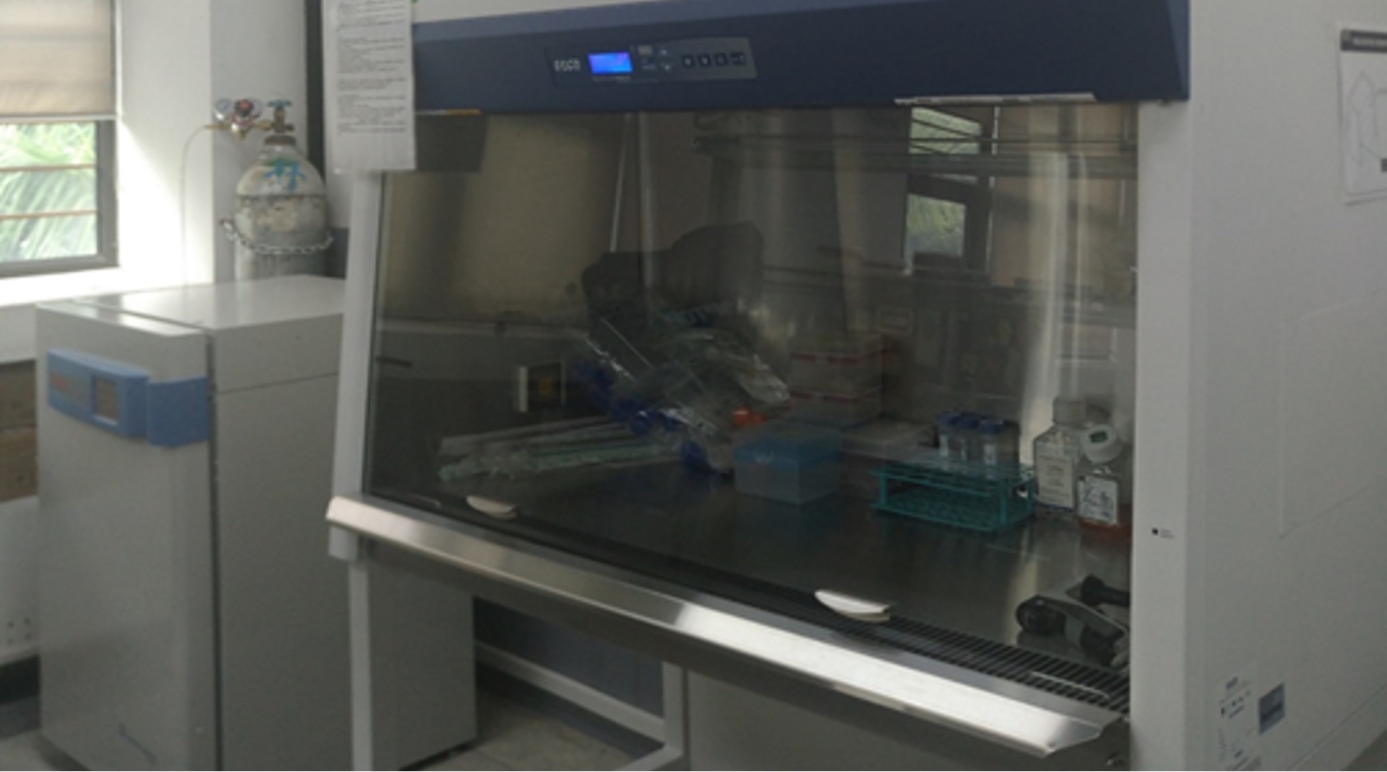 Ultra-clean bench and CO2 incubator(细胞培养平台)